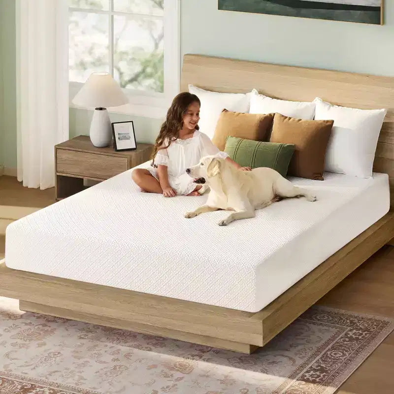 Adult 6 Inch Cooling Gel Memory Foam Mattress, Bamboo Charcoal Support Foam, Medium Firm